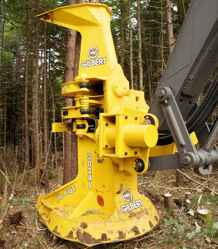 Utilisation D'une Tronçonneuse Pour Bois De Chauffage Photo stock - Image  du arbre, matériel: 216461194