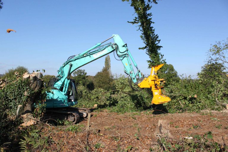 Le projet consistait à effectuer des travaux d'éclaircissement de talus de châtaigniers en milieu agricole.